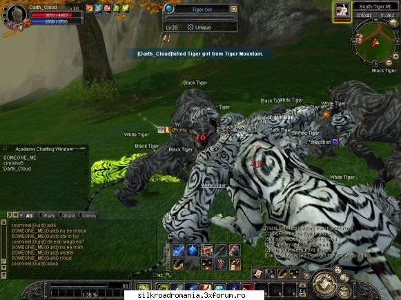 primul meu tiger girl kill :zzz: silkroad uniques :d