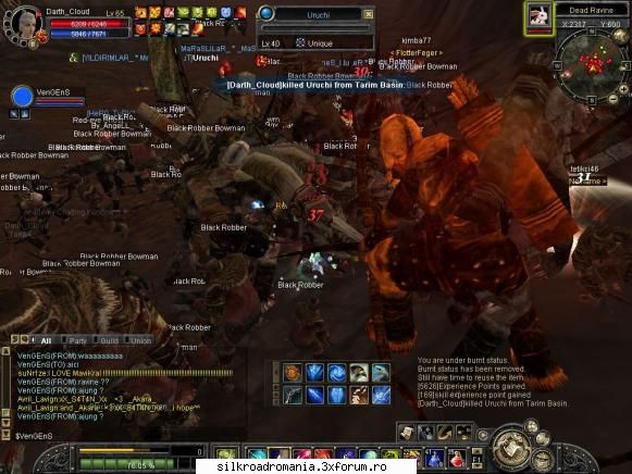 uruchi(pun al 2 kill k arata mai bine poza :d) silkroad uniques :d